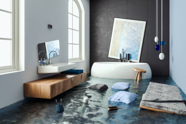 Best Water damage contractors near me  in Burnt Mills, MD