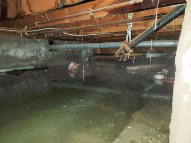 Water damage restoration mold remediation in Burnt Mills, MD