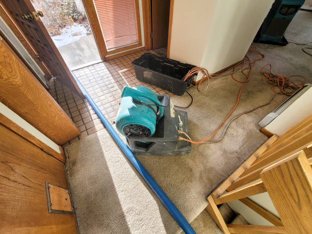 Best Flood damage cleanup  in Burnt Mills, MD