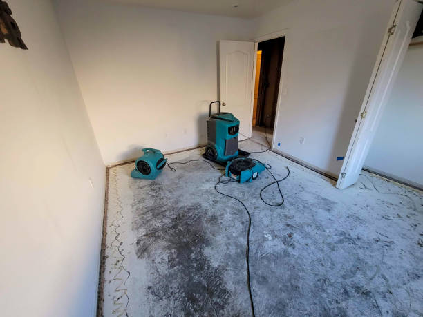 Best Residential water damage restoration  in Burnt Mills, MD