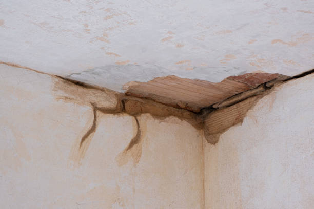 Trusted Burnt Mills, MD Water damage restoration Experts
