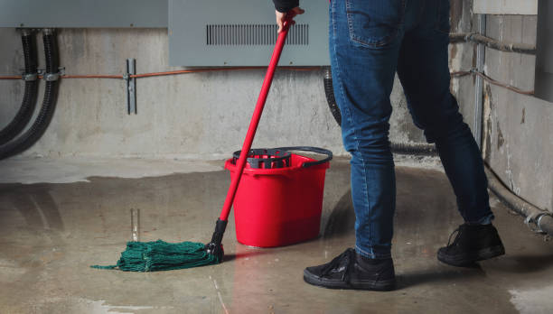 Best Professional water damage repair  in Burnt Mills, MD
