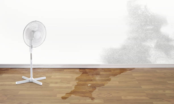 Best Sewage cleanup and water damage restoration  in Burnt Mills, MD