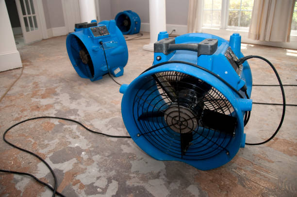 Best Emergency water damage restoration  in Burnt Mills, MD