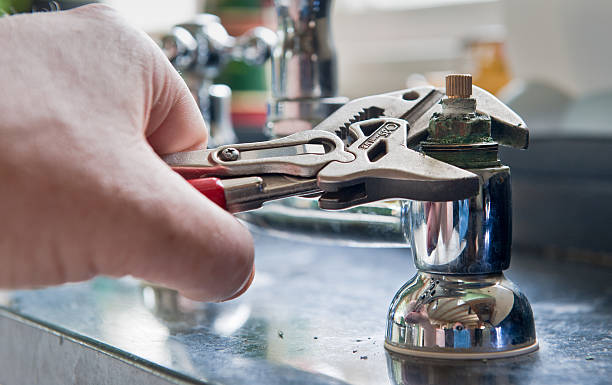 Water damage restoration mold remediation in Burnt Mills, MD