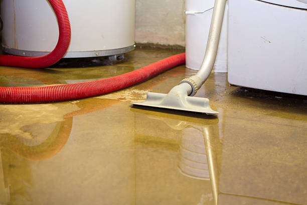 Best Flooded house restoration  in Burnt Mills, MD