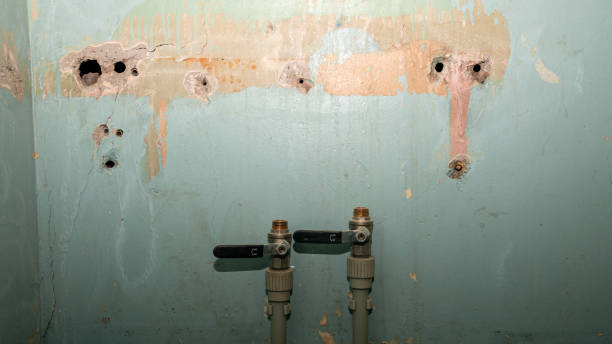  Burnt Mills, MD Water damage restoration Pros
