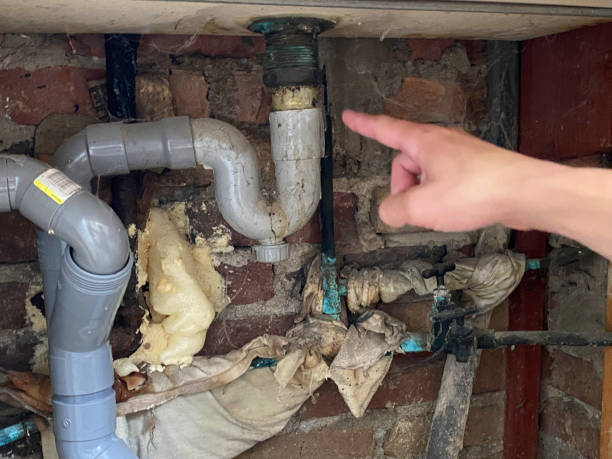 Best Water damage restoration process  in Burnt Mills, MD