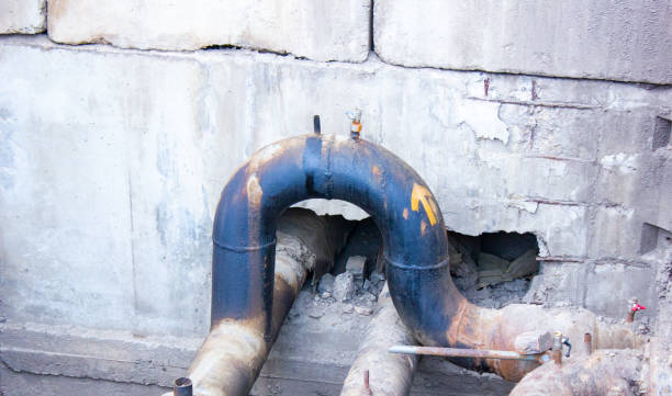 Best Local water damage restoration  in Burnt Mills, MD